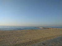 Albert Ferrer-Bonsoms | Strava를 사용 중인 달리기 선수