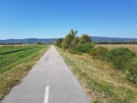 Strava 달리기 선수 프로필 | Ricardo Díaz -.