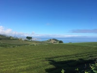 Strava 사이클리스트 프로필 | Madalena P.