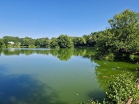 Strava에서 Christel M.님이 2023년 6월 24일에 수행한 9.3km 달리기 활동 Trail de la tour dalbon 🎖 1ere victoire pour... 