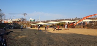 Strava에서 이 영.님이 2022년 11월 19일에 수행한 46.3km 라이딩 활동 오산천 샤방 - 이 영.s 46.3km bike ride