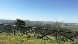 David Gomez Cerrejon | Strava를 사용 중인 사이클리스트