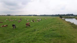 Strava 사이클리스트 프로필 | Rianne H.