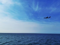 Strava 달리기 선수 프로필 | Alexander D.