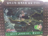 Strava 사이클리스트 프로필 | Jin Seok P.