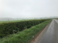 Strava에서 Russ  D.님이 2019년 5월 1일에 수행한 126.4km 라이딩 활동 Catch up with The Aussie  - Russ  Downing s 126.4km bike... 