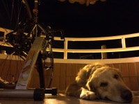 Strava 사이클리스트 프로필 | Felipe M.