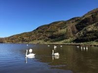 Strava 달리기 선수 프로필 | Freddy F.