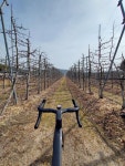 71.1 km Ride Activity on March 11, 2023 by [FEBBRE] 김 on Strava 샤방솔플LSD 주천면 , 무릉도원면 라이딩 :) - [FEBBRE] 김s... 