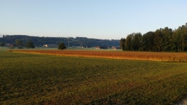 Strava 사이클리스트 프로필 | Jean V.