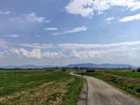 Strava에서 Tomasz M.님이 2022년 5월 3일에 수행한 130.1km 라이딩 활동 Dwa Przegibki bardziej spoko - Tomasz Milewiczs 130.... 