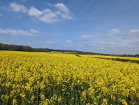 Strava 사이클리스트 프로필 | Roger Harris