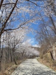 Strava에서 🚴♂️막타보자🚵♂️ 조.님이 2019년 3월 31일에 수행한 22.5km 라이딩 활동 타이밍운동코스...(호포임도)... 