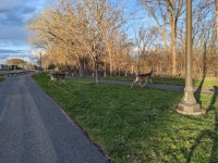 Strava에서 Nick C.님이 2023년 4월 29일에 수행한 26.2mi 라이딩 활동 Digestif. - Nick C.s 26.2mi bike ride