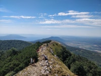 Strava 달리기 선수 프로필 | Nik Ravojt