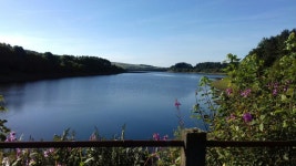 Strava 사이클리스트 프로필 | James B.