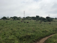 Strava 사이클리스트 프로필 | Carel S.
