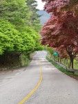Strava에서 (Szabi) 스.님이 2019년 4월 28일에 수행한 104.6km 라이딩 활동 지리산투어)남원-성삼재-오도재-지안재-함양 - (Szabi)... 