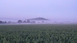 Strava 사이클리스트 프로필 | Manuel B.