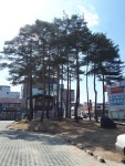 Strava 사이클리스트 프로필 | 열 K
