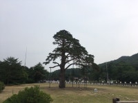 Strava에서 Dong Hak K.님이 2017년 6월 24일에 수행한 90.2km 라이딩 활동 속리산 둘레길 - Dong Hak Kims 90.2km bike ride