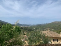 Strava 달리기 선수 프로필 | Darren Hibbert