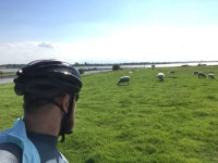 Michael Stolte | Strava를 사용 중인 사이클리스트