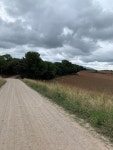 22.8 km Ride Activity on September 15, 2023 by Ruben M on Strava Gravel-rain time! - Ruben Ms 22.8 km bike ride