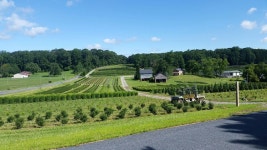 Strava 사이클리스트 프로필 | Terry C.