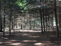 Strava 사이클리스트 프로필 | Maráczi K.