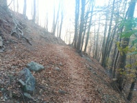 Strava 사이클리스트 프로필 | Jaume S.