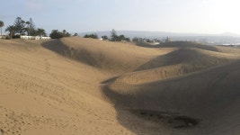 Strava 달리기 선수 프로필 | Louise D.