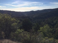 Strava 사이클리스트 프로필 | David F.