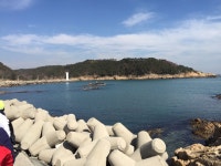 Strava 사이클리스트 프로필 | Degurechaff T.