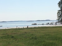 Øystein R Reppesgaard | Strava를 사용 중인 달리기 선수