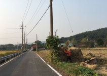 Selina ODonnell | Strava를 사용 중인 달리기 선수