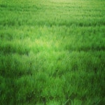 Strava 사이클리스트 프로필 | 승찬 윤.