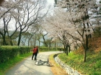 Strava에서 마린  박.님이 2017년 4월 9일에 수행한 52.9km 라이딩 활동 너릿재(인산인해ㅜ)ㅡ산장   - 마린_ 박성종s 52.9km bike ride