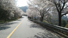 Strava 사이클리스트 프로필 | 아름다운청년 [.