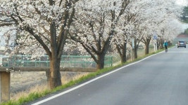 Strava 사이클리스트 프로필 | 광영 이.