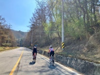 126.2 km Ride Activity on April 2, 2023 by [WCC] 김 on Strava 수목원,수원산,청계산 - [WCC] 김s 126.2 km bike ride