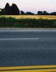 Strava 사이클리스트 프로필 | Graydon O.