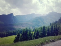 Strava 사이클리스트 프로필 | Greg Van Axe