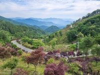 Media from 지리산 둘레(202/4400) on Strava