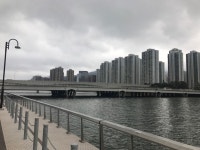 Strava 걷기 활동 Walk along the river  - Mario Buchs TRT Coach s 6.0km walk