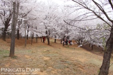 파일:Ef.png - DH 교육용 위키