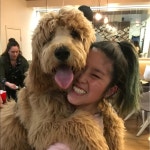 Victorias Closet (@vily95) | Poshmark Victorias Closet