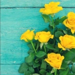 The humble yellow roses Closet (@hmbleyellowrose) | Poshmark The humble yellow roses Closet