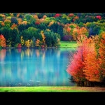 Natalie Tzbgrs Closet (@tzbgr) | Poshmark Natalies Closet