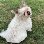 Debs Closet (@debmc5491) | Poshmark Debs Closet